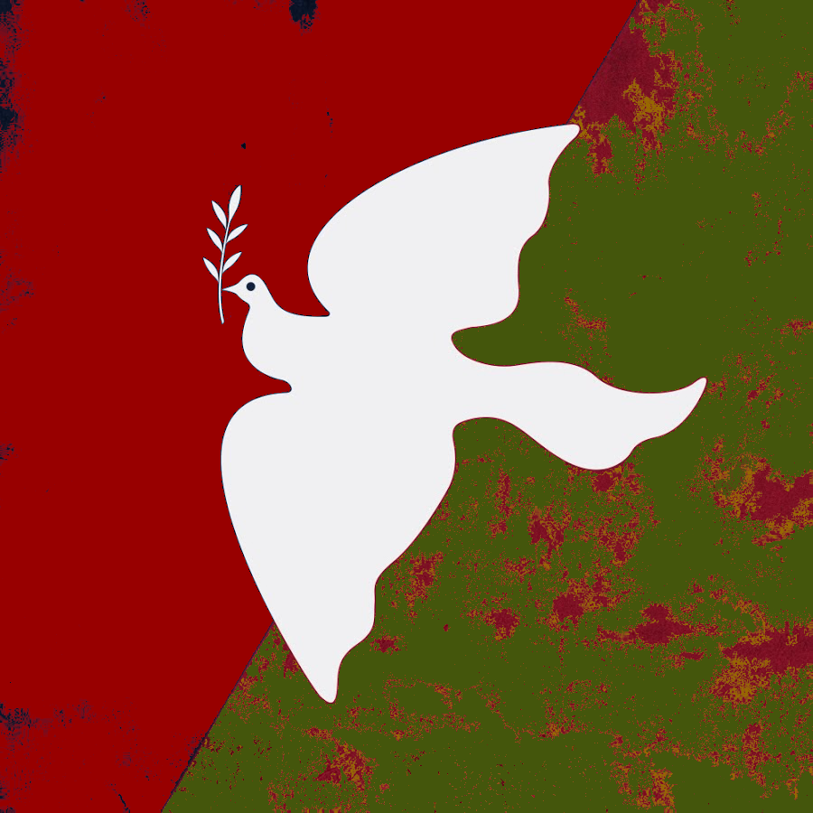 white dove flying over red and green background